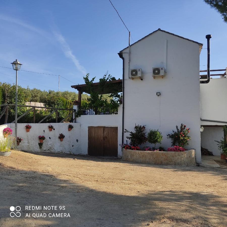Setenil De Las Bodegas La Casa De La Abuelaゲストハウス エクステリア 写真