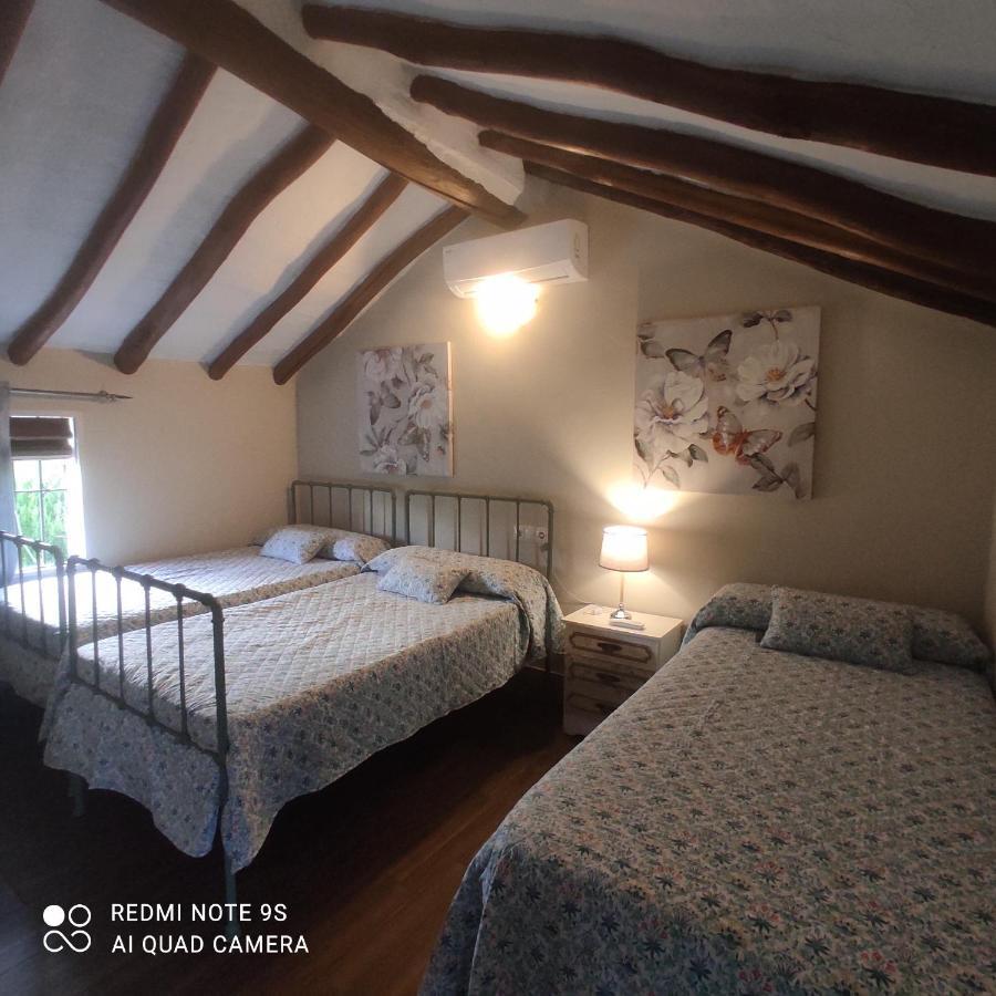 Setenil De Las Bodegas La Casa De La Abuelaゲストハウス エクステリア 写真