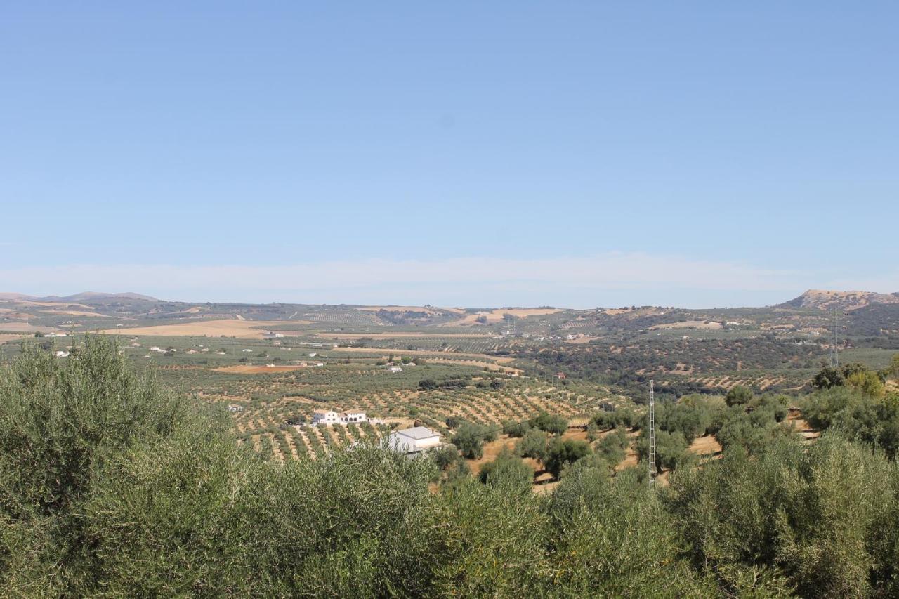 Setenil De Las Bodegas La Casa De La Abuelaゲストハウス エクステリア 写真