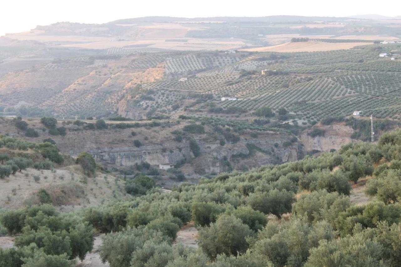Setenil De Las Bodegas La Casa De La Abuelaゲストハウス エクステリア 写真